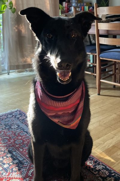 Kali